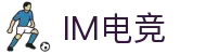 IM(股份有限公司)电竞-电子竞技平台